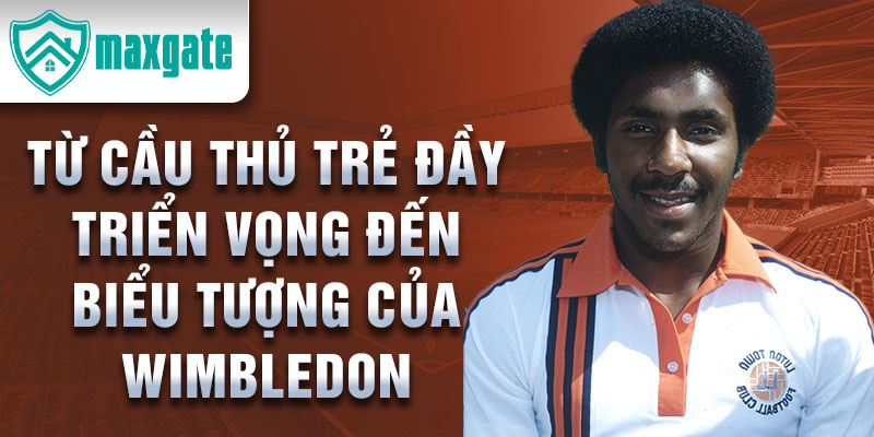 Từ cầu thủ trẻ đầy triển vọng đến biểu tượng của wimbledon