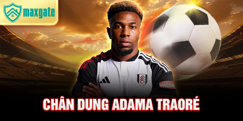 Chân dung adama traoré