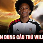 Chân dung cầu thủ willian