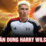 Chân dung harry wilson