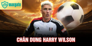 Chân dung harry wilson