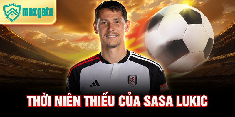 Thời niên thiếu của sasa lukic