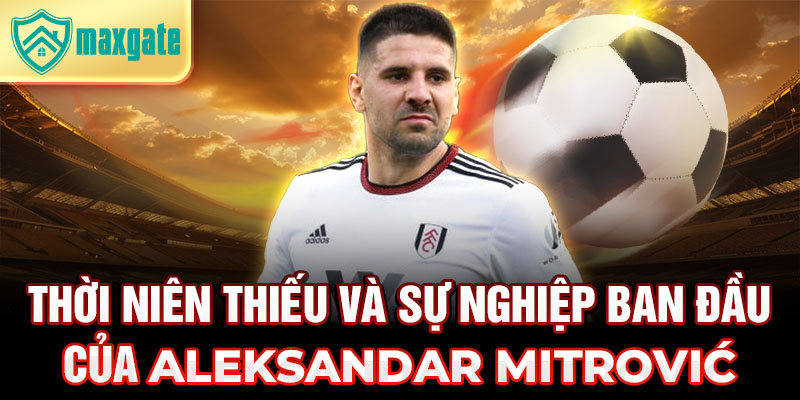 Thời niên thiếu và sự nghiệp ban đầu của aleksandar mitrović