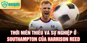 Thời niên thiếu và sự nghiệp ở southampton của harrison reed