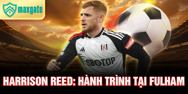 Harrison Reed: hành trình tại Fulham