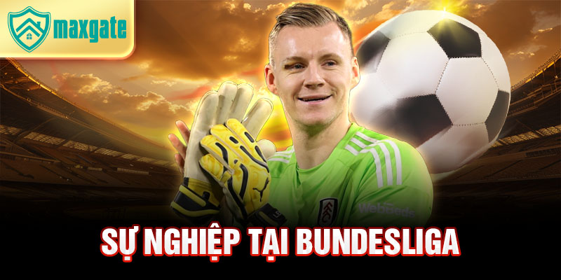 Sự nghiệp tại Bundesliga